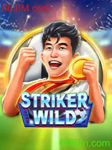 Explorando o Universo de StrikerWILD: Um Mergulho no Mundo do Jogo