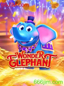 Descubra o Fascinante Mundo de WonderElephant